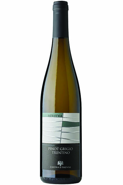 Pinot Grigio, Cantina di Trento, Trentino, Italy, 2023