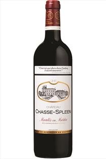 Chateau Chasse Spleen, Haut Medoc, Bordeaux, France, 2019