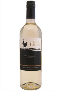 Sauvignon Blanc, Premium, Bella Lucia, Curico Valley, Chile, 2019