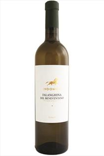 Falanghina, Bianco, Indomito, Aglianico del Beneventano, Campania, Italy, 2015