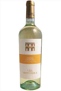 Fiano de Salento, Azienda Villa Mottura, Puglia, Italy, 2020