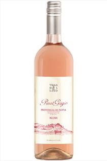 Pinot Grigio Rose, Villa del Lago, DOC, Veneto, Italy, 2023