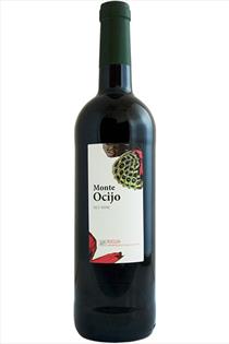 Rioja Tinto, Monte Ocijo, Biurko Gorri, Alavesa, Rioja, Spain, 2021