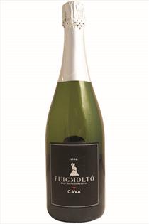 Cava Brut Nature Reserva, Puigmolto, Priorat, Spain