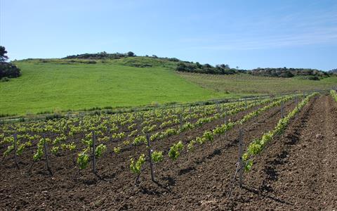 Sicily